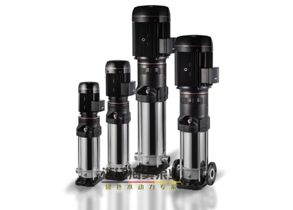 不锈钢反冲洗高压泵